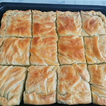 Guesthouse Zimovski Peštani 외부 사진