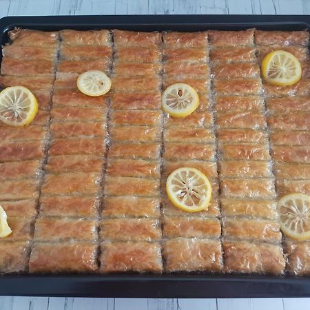 Guesthouse Zimovski Peštani 외부 사진