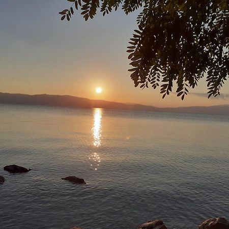 Guesthouse Zimovski Peštani 외부 사진