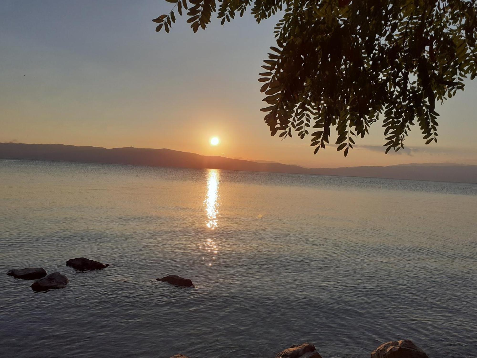 Guesthouse Zimovski Peštani 외부 사진