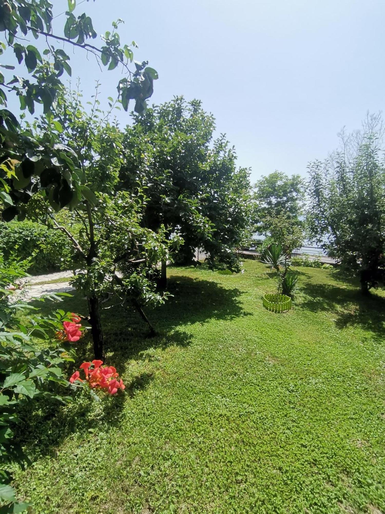 Guesthouse Zimovski Peštani 외부 사진