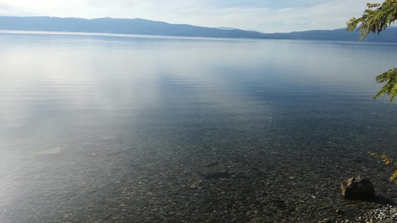 Guesthouse Zimovski Peštani 외부 사진