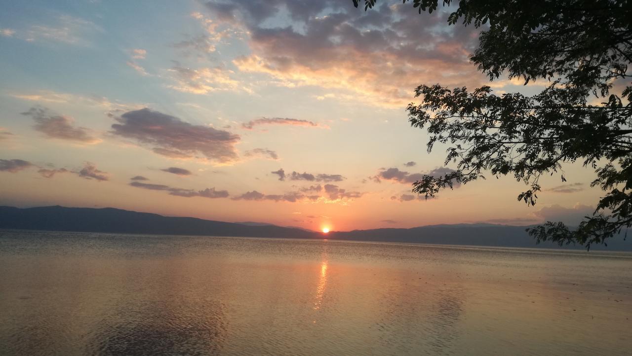 Guesthouse Zimovski Peštani 외부 사진