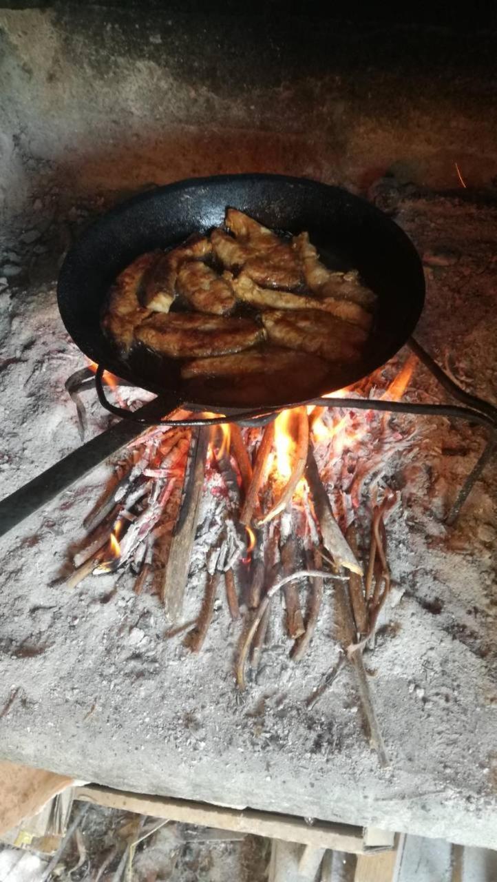 Guesthouse Zimovski Peštani 외부 사진