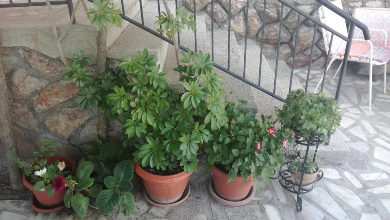 Guesthouse Zimovski Peštani 외부 사진