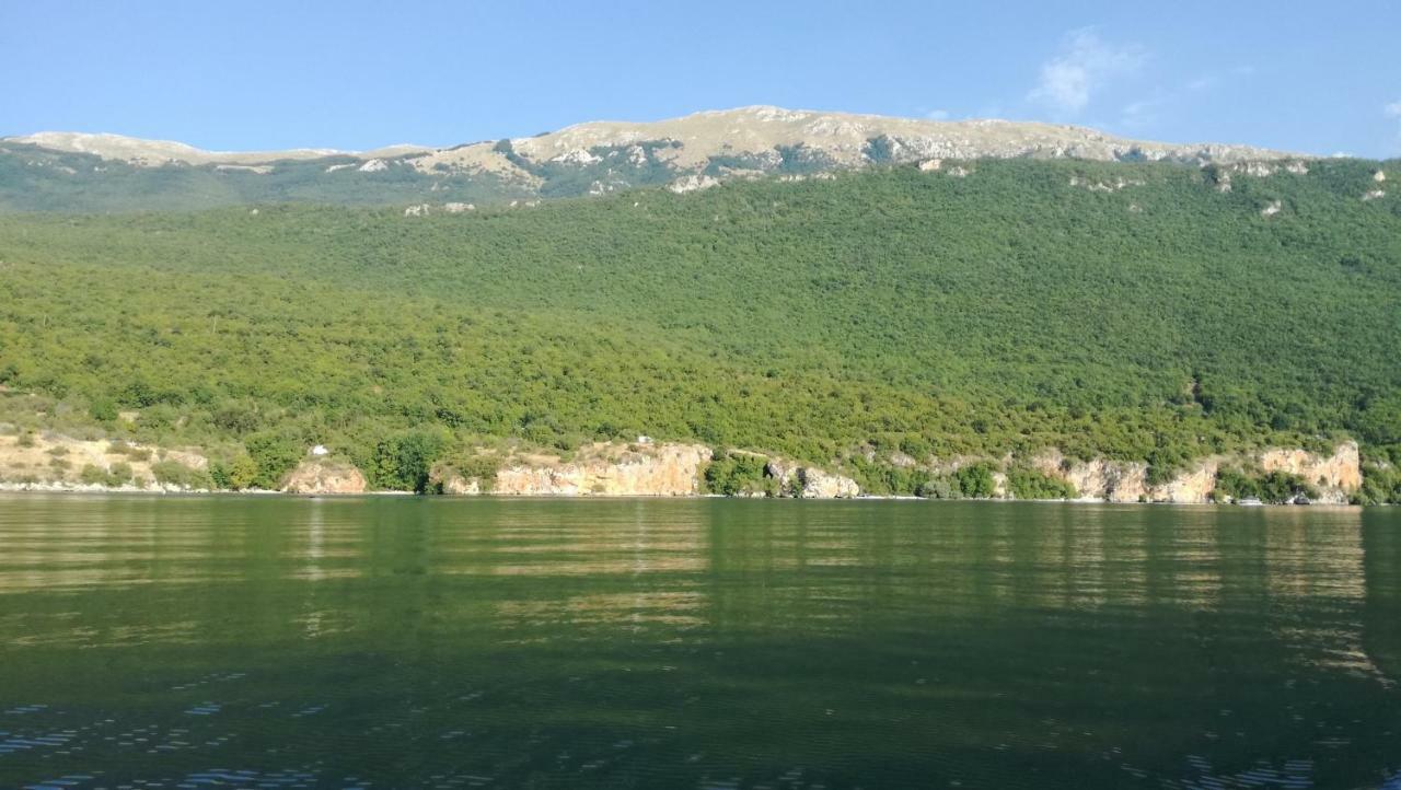 Guesthouse Zimovski Peštani 외부 사진